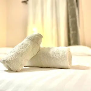 https://spacious-holiday-apartment.hotels-in-tirana.com